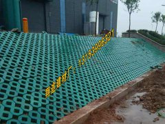 常用的蜜桃视频APP在线无限看種類有哪些